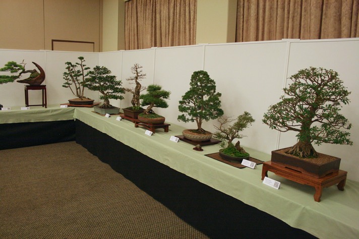 Exhibition Opening11