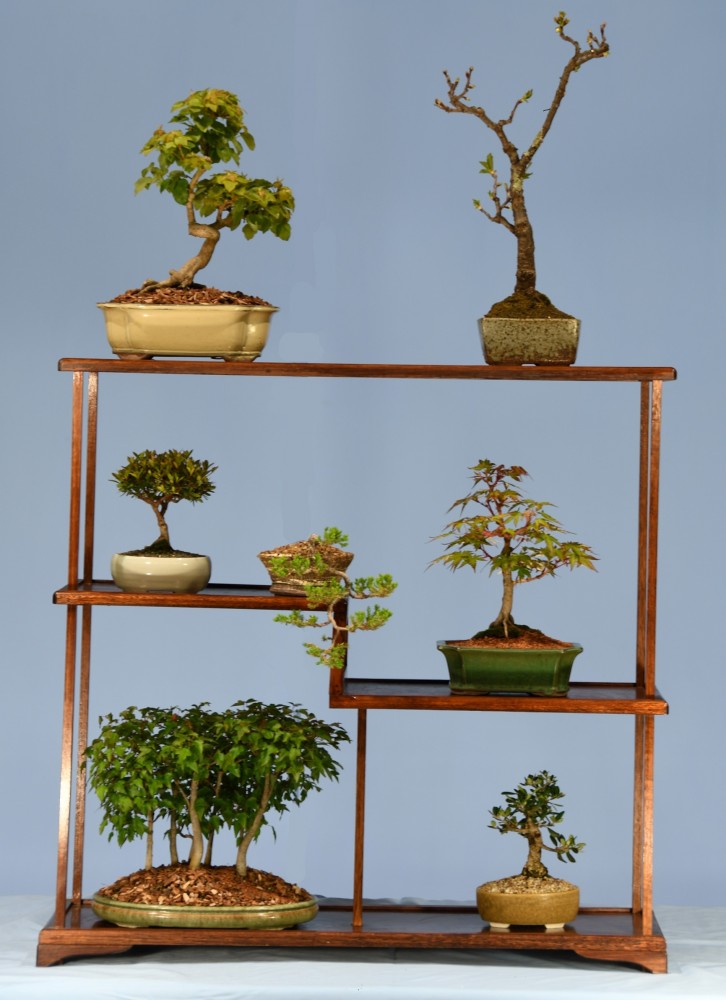 66-82-83-84-85-86-87-LS