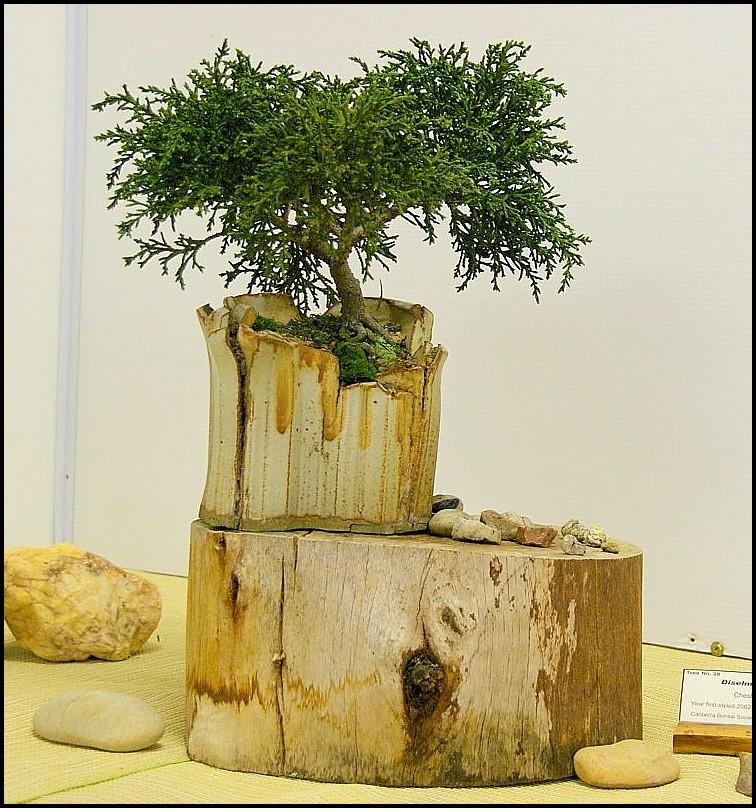 28Diselmaarcherilarge